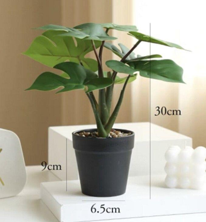 Fake Plant WIFI Camera (IQWFJH53)